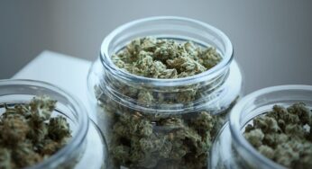 At Home Activities With Cannabis