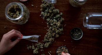 The Advantages of Having a Cannabis Journal