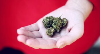 Medical Benefits of Cannabis That You Probably Didn’t Know