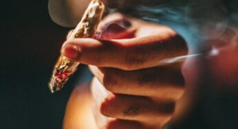 Benefits & Tips of Autoflowering Cannabis