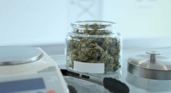 Take Control of your Medical Cannabis with Journaling