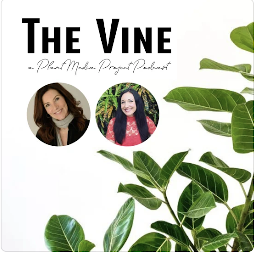 The Vine 