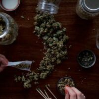 Cannabis Journal Advantages